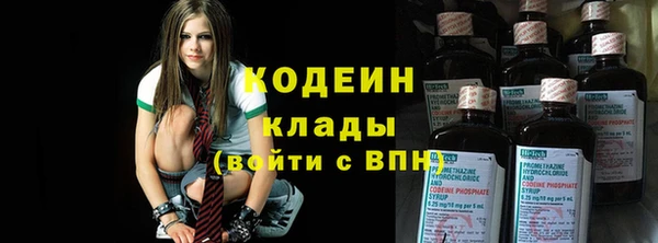 крисы Новозыбков