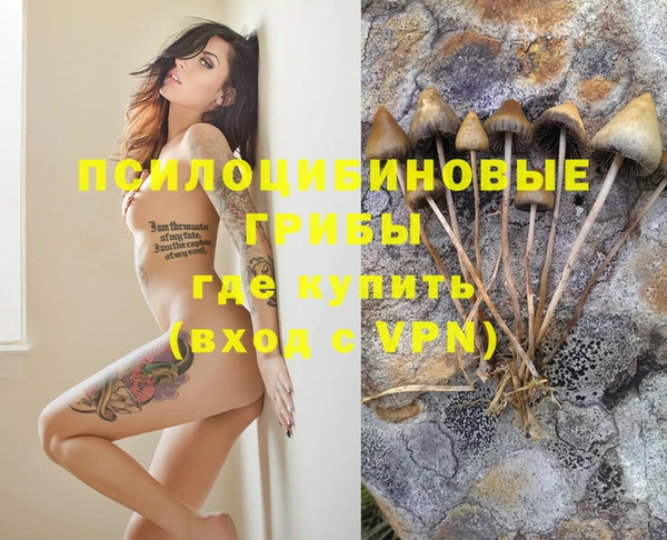 крисы Новозыбков