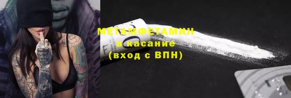крисы Новозыбков