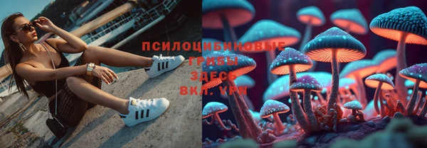 меф Новодвинск