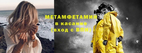 крисы Новозыбков