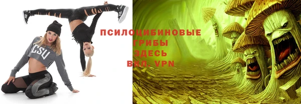 меф Новодвинск